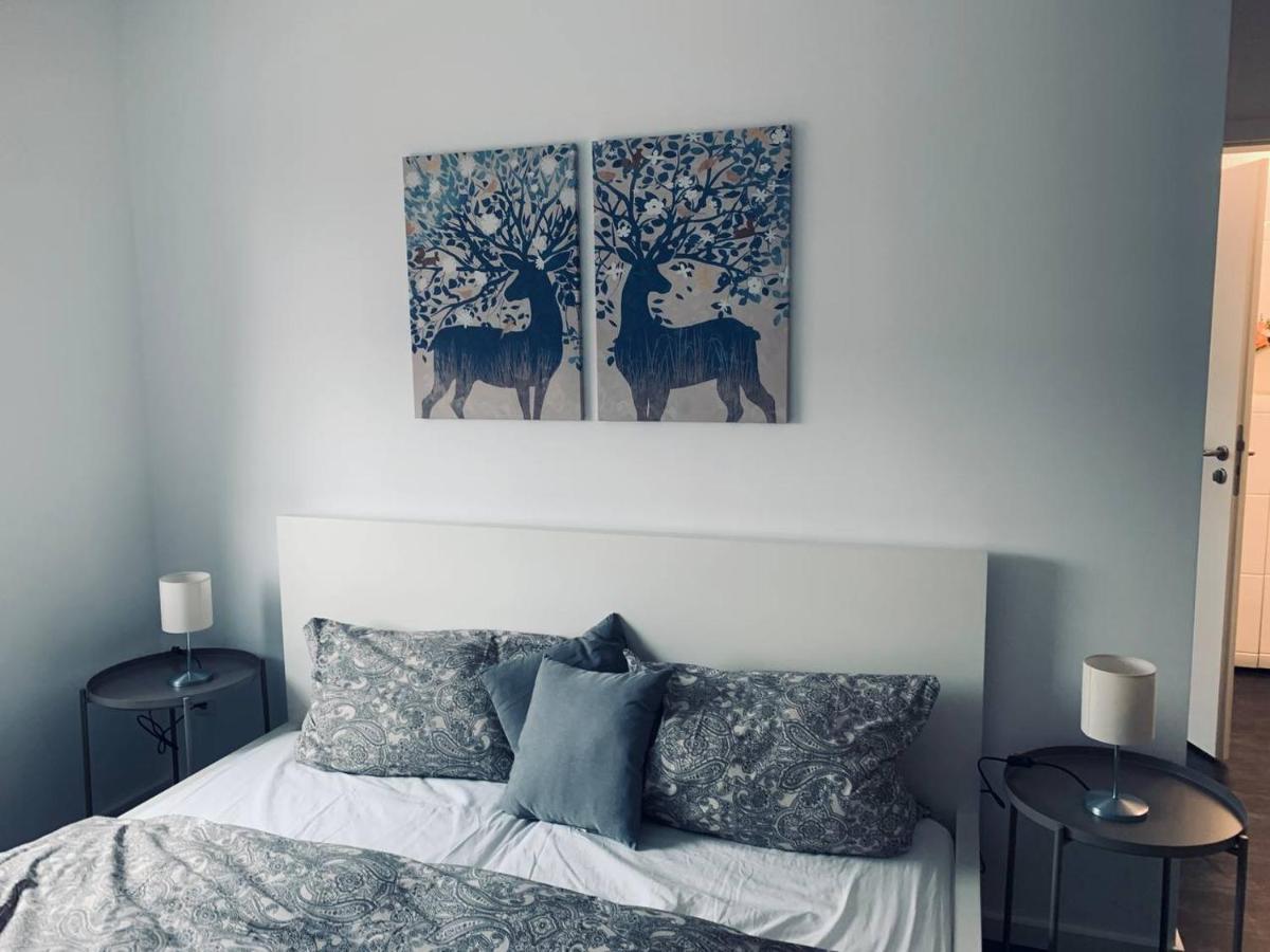Apartment Mit Penthouse Charakter In 드레스덴 외부 사진
